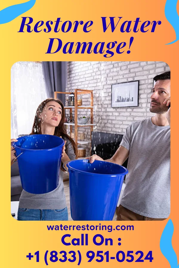 water restoration Vigilant Flood LLC Leesburg